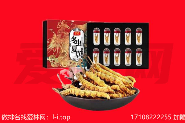 肥西县回收虫草.jpg